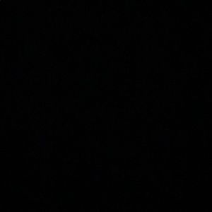 Meet your Posher, Shanna